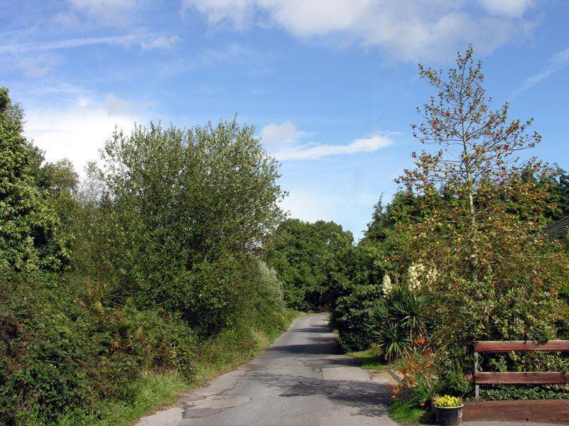 Abacus Bed And Breakfast, Blackwater, Hampshire Camberley Esterno foto